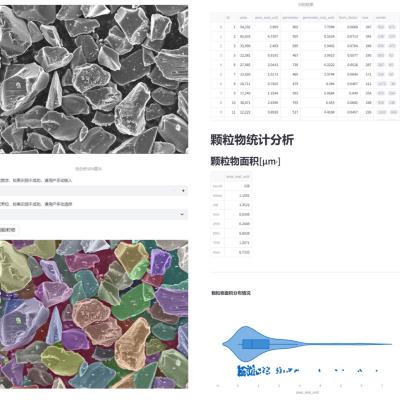 Sem Particle Size Large